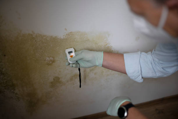 Best Mold Remediation Experts  in Columbia, TN