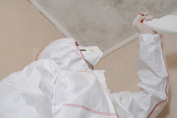 Best Home Mold Removal  in Columbia, TN