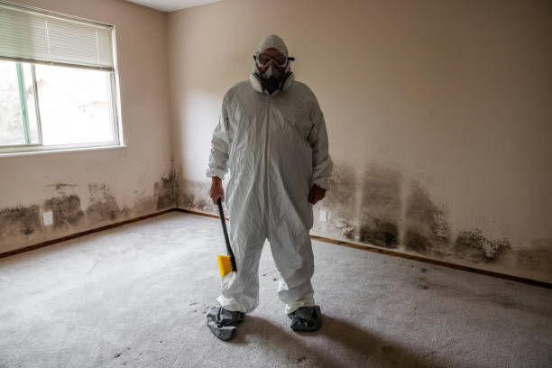 Best Office Mold Removal Services  in Columbia, TN